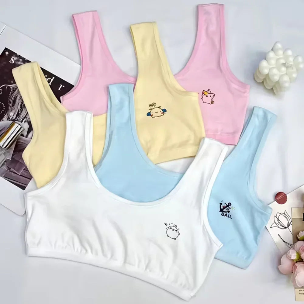 Pack Of 3 Teenage Girls Cotton Training Bra – Non Padded, Steel-Free Bra, Everyday Comfort